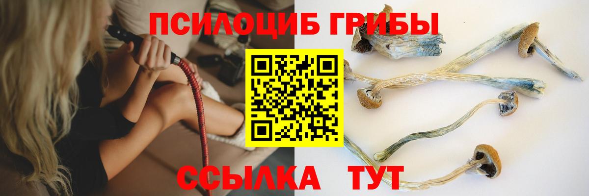 Псилоцибиновые грибы Psilocybe Волжский